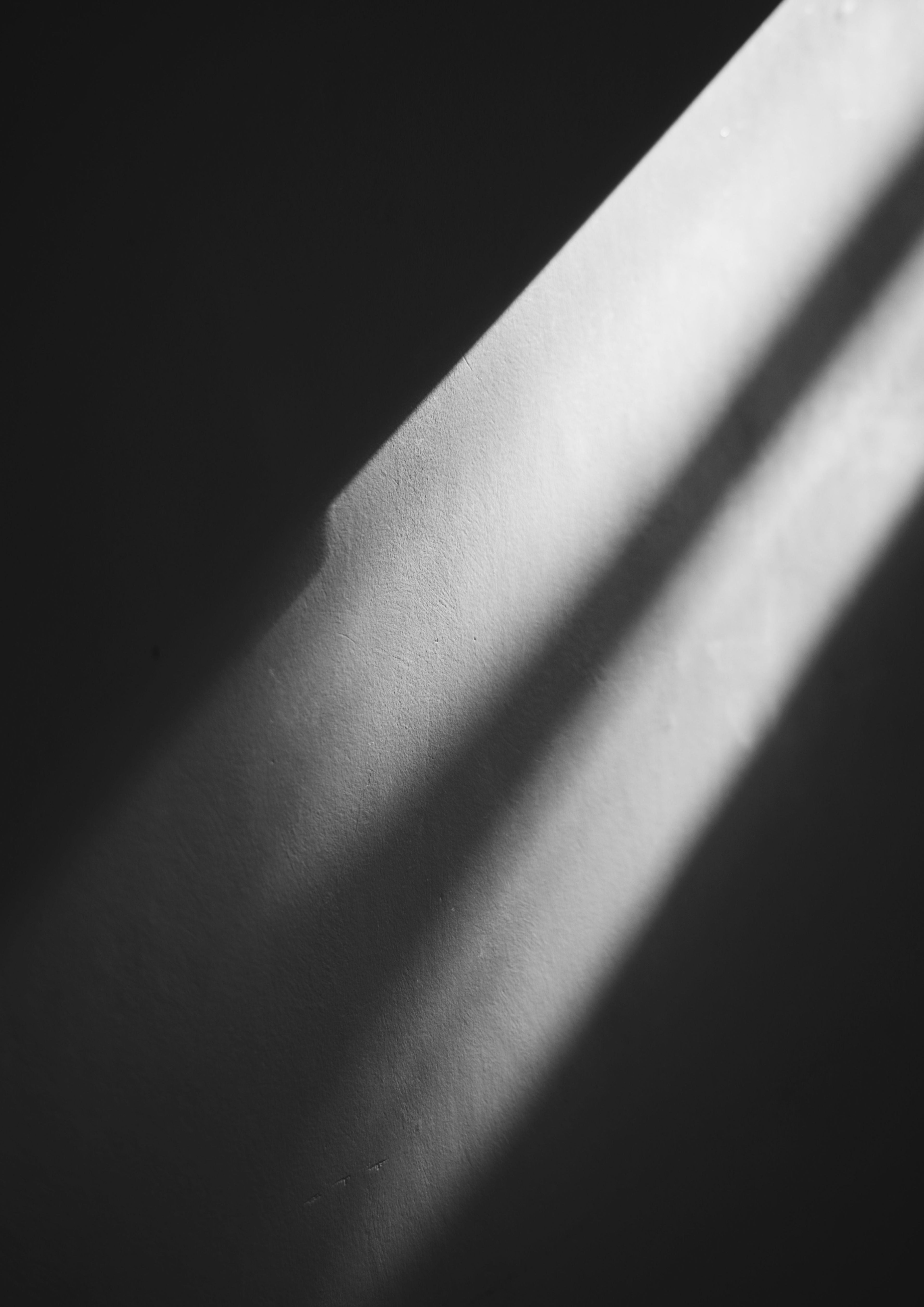 Dernières créations